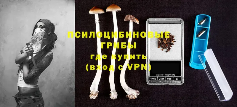 Галлюциногенные грибы MAGIC MUSHROOMS  ОМГ ОМГ зеркало  Нижнеудинск 